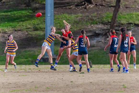Rd 14 WPD - Pennant Hills v Sydney Uni - 16 July 2022