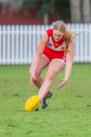 Rd 7 WPD - St George v UTS - 25 May 2024