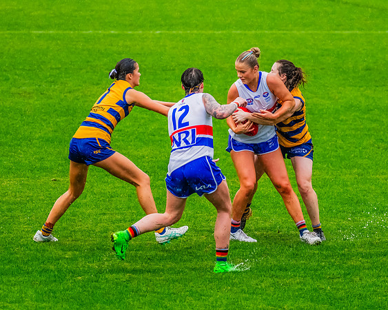 Rd 8 WPD - UNSW-ES v Sydney Uni - 1 June 2024