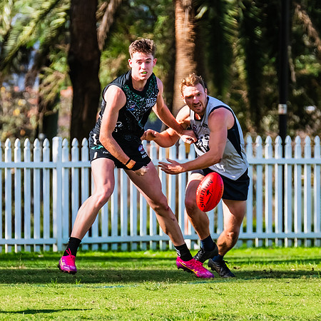 Rd 8 MPD - UTS v SWS - 31 May 2025