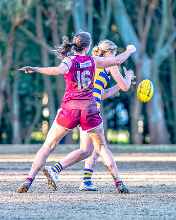 Rd 17 WPD - Manly Warringah v Sydney Uni - 16 August 2025