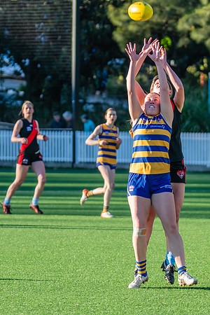 Rd 15 WPD - North Shore v Sydney Uni - 3 August 2024