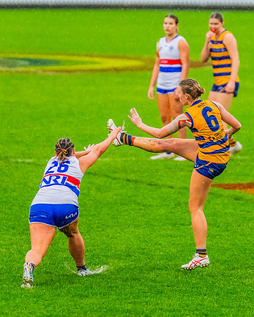 Rd 8 WPD - UNSW-ES v Sydney Uni - 1 June 2024