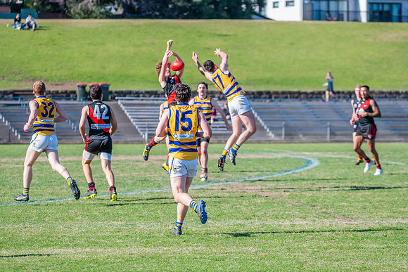 Men's Div 1 - Qualifying Final - North Shore v Sydney University
