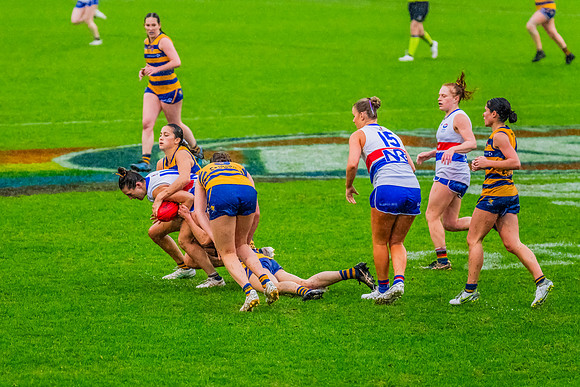 Rd 8 WPD - UNSW-ES v Sydney Uni - 1 June 2024