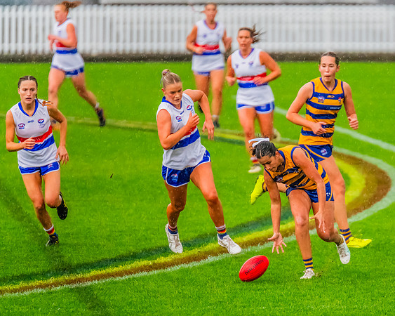 Rd 8 WPD - UNSW-ES v Sydney Uni - 1 June 2024