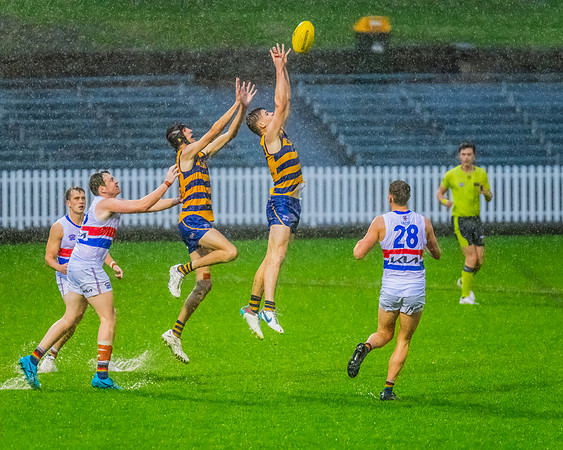 Rd 8 MPD - UNSW-ES v Sydney Uni - 1 June 2024