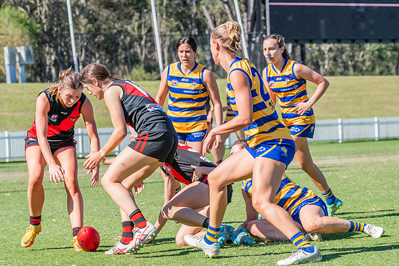WPD Elimination Final - North Shore v Sydney Uni - 1 September 2
