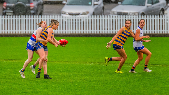 Rd 8 WPD - UNSW-ES v Sydney Uni - 1 June 2024