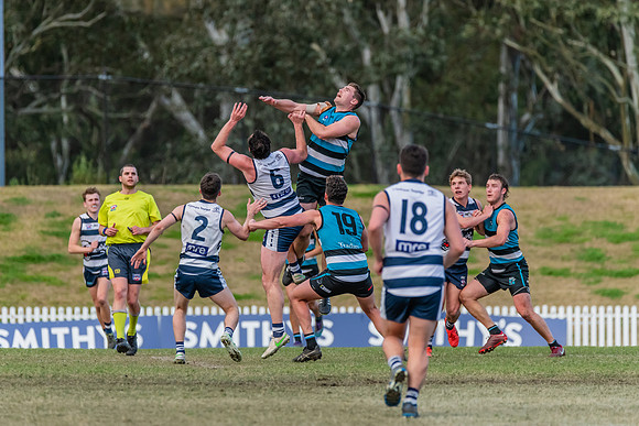 Platinum Div Preliminary Final - Southern Power v Camden Cats -
