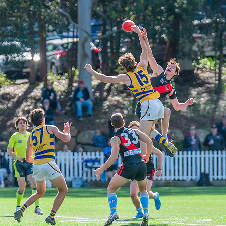 Rd 15 MPD - North Shore v Sydney Uni - 3 August 2024