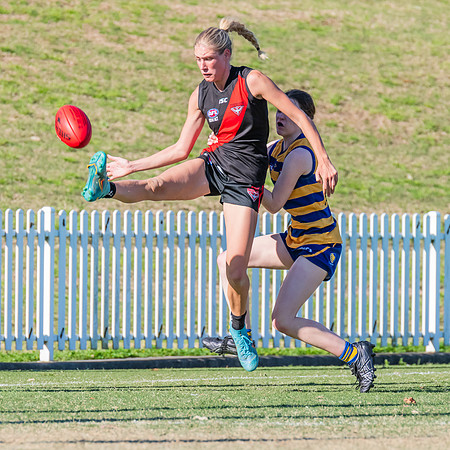 WPD Elimination Final - North Shore v Sydney Uni - 1 September 2