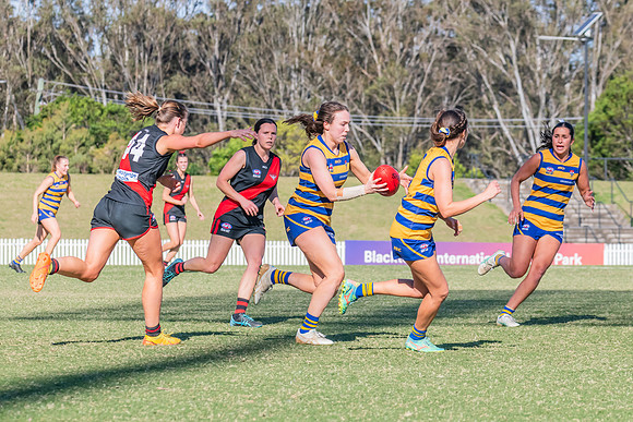 WPD Elimination Final - North Shore v Sydney Uni - 1 September 2