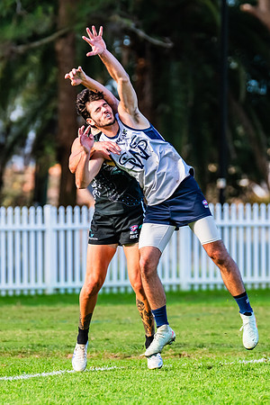 Rd 8 MPD - UTS v SWS - 31 May 2025