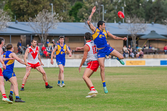 Rd 17 MPD - East Coast v St George - 17 August 2024