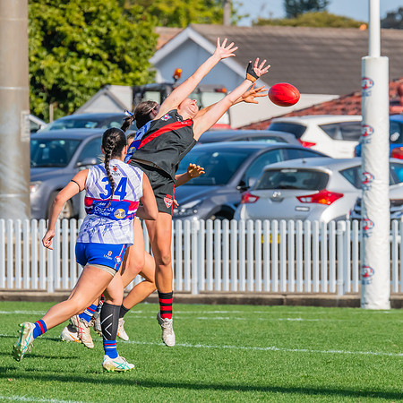 Rd 16 WPD - UNSW-ES v North Shore - 10 August 2024