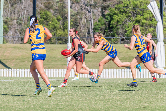 WPD Elimination Final - North Shore v Sydney Uni - 1 September 2
