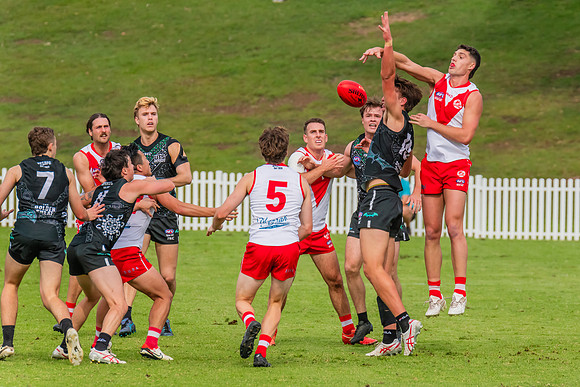 Rd 7 MPD - St George v UTS - 25 May 2024