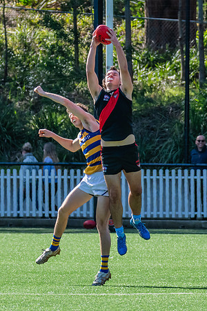 Rd 15 MPD - North Shore v Sydney Uni - 3 August 2024