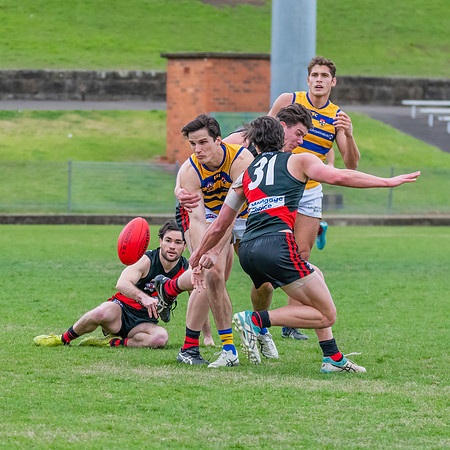 MPD Qualifying Final - North Shore v Sydney University - 20 Augu