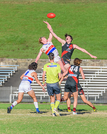 Rd 6 MPD - UNSW ES v North Shore - 14 May 2022