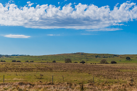 Countryside in Winter around Braidwood