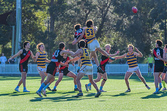 Rd 15 MPD - North Shore v Sydney Uni - 3 August 2024