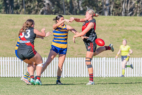 WPD Elimination Final - North Shore v Sydney Uni - 1 September 2