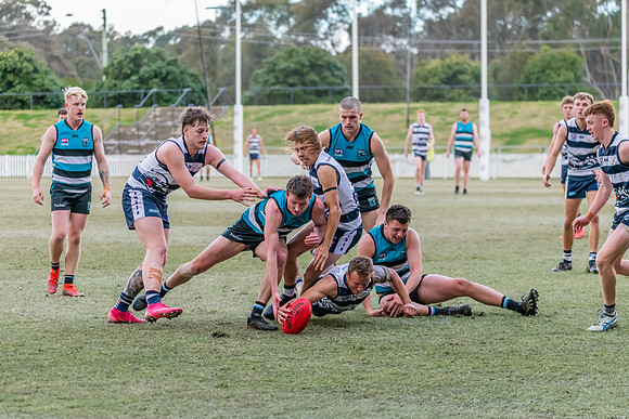 Platinum Div Preliminary Final - Southern Power v Camden Cats -