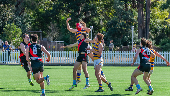 Rd 15 MPD - North Shore v Sydney Uni - 3 August 2024