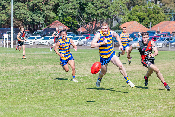 MPD Reserves Major Semi Final - Sydney University v North Shore