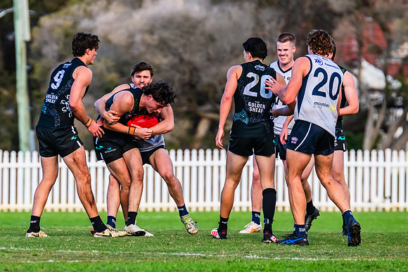 Rd 8 MPD - UTS v SWS - 31 May 2025