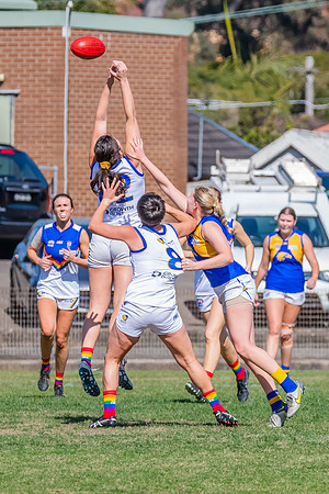 WPD Preliminary Final - East Coast v Sydney University - 21 Augu