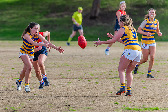 Rd 14 WPD - Pennant Hills v Sydney Uni - 16 July 2022