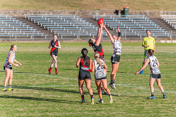 WPD Elimination Final - North Shore v Inner West - 7 August 2022