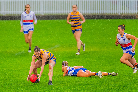 Rd 8 WPD - UNSW-ES v Sydney Uni - 1 June 2024