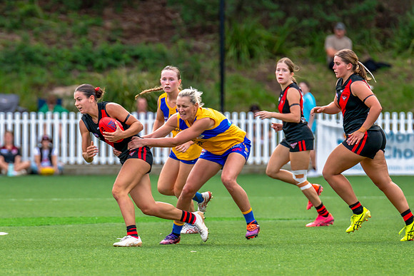 Rd 4 WPD - North Shore v East Coast - 26 April 2025