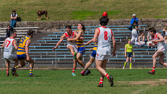 MPD Reserves Grand Final - Sydney Uni v St George - 10 September