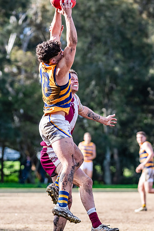 Rd 17 MPD - Manly Warringah v Sydney Uni - 16 August 2025