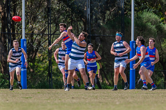 Black Diamond Shield Warners Bay v Muswellbrook - 17 September 2022