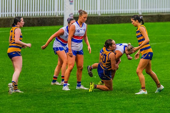 Rd 8 WPD - UNSW-ES v Sydney Uni - 1 June 2024