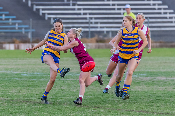 WPD Qualifying Final - Manly Warringah v  Sydney University - 7