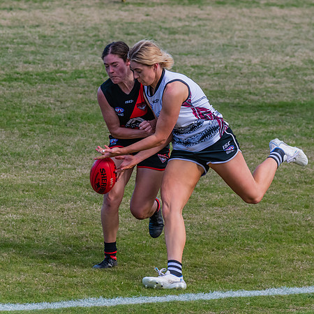 WPD Elimination Final - North Shore v Inner West - 7 August 2022