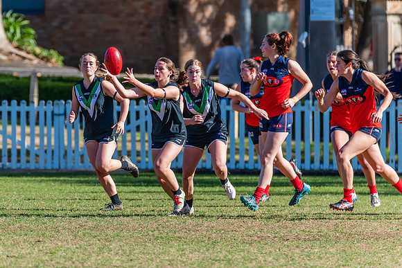 Rd 11 WPD - UTS v Pennant Hills - 25 June 2022