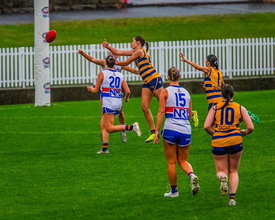 Rd 8 WPD - UNSW-ES v Sydney Uni - 1 June 2024