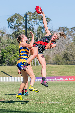 WPD Elimination Final - North Shore v Sydney Uni - 1 September 2