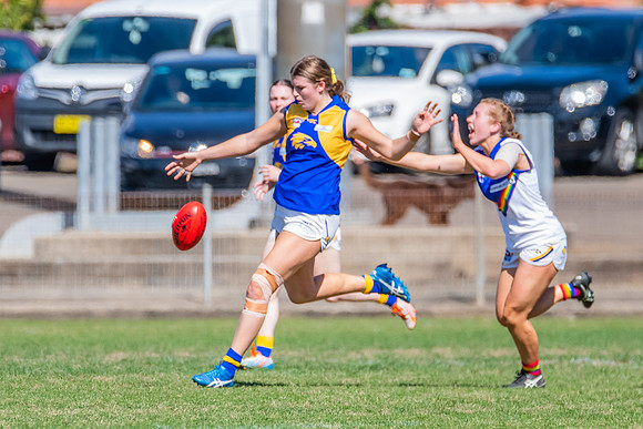 WPD Preliminary Final - East Coast v Sydney University - 21 Augu