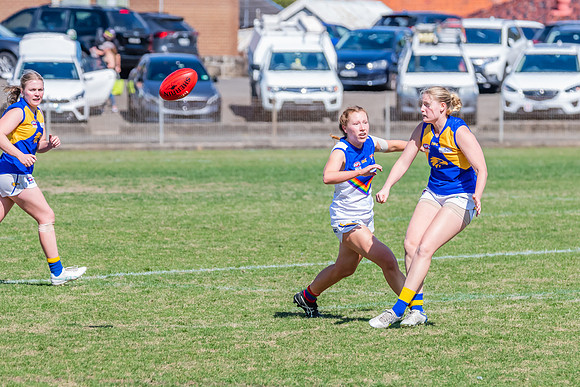 WPD Preliminary Final - East Coast v Sydney University - 21 Augu
