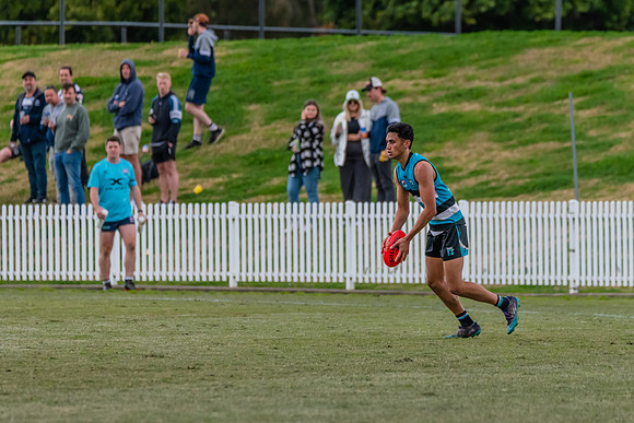 Platinum Div Preliminary Final - Southern Power v Camden Cats -