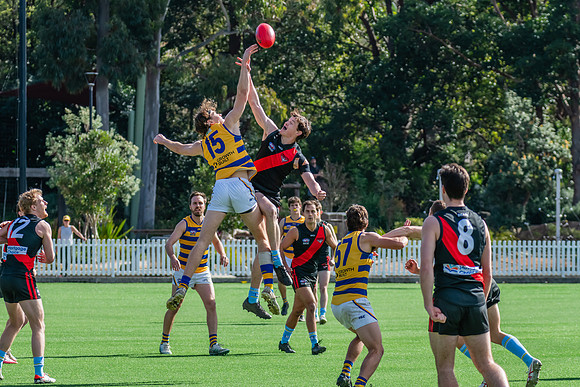 Rd 15 MPD - North Shore v Sydney Uni - 3 August 2024